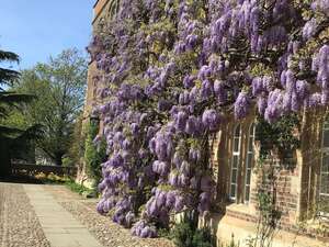 Image 29